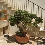 Raffy House 아파트 *