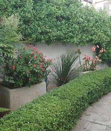Raffy House Апартаменты Невьяно